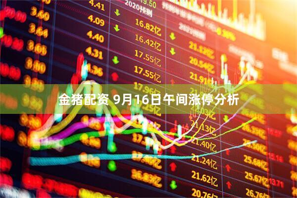 金猪配资 9月16日午间涨停分析