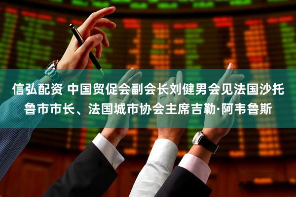 信弘配资 中国贸促会副会长刘健男会见法国沙托鲁市市长、法国城市协会主席吉勒·阿韦鲁斯